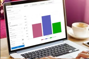 Pink Roccade Local Government